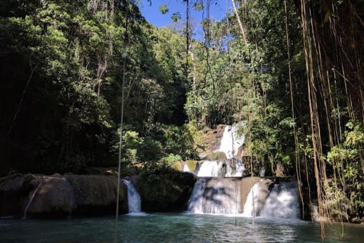 Black River Safari and YS Falls: Private Day Tour from Montego Bay photo 2