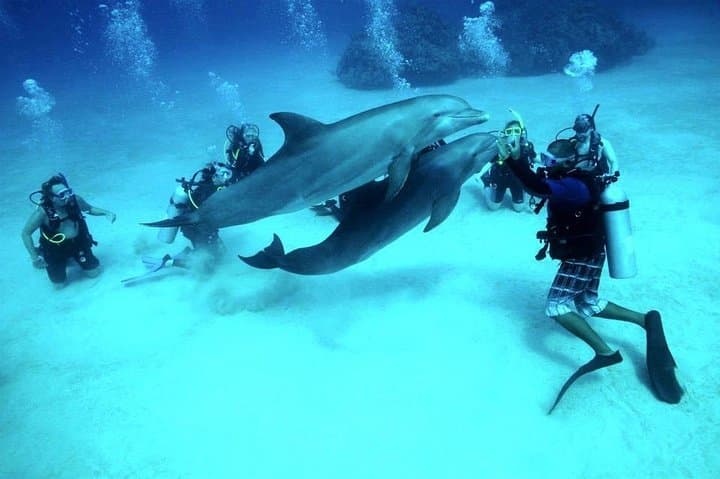 Hurghada 6-Hour Dive Trip: Two Red Sea Sites with Lunch and Hotel Transfers photo 5