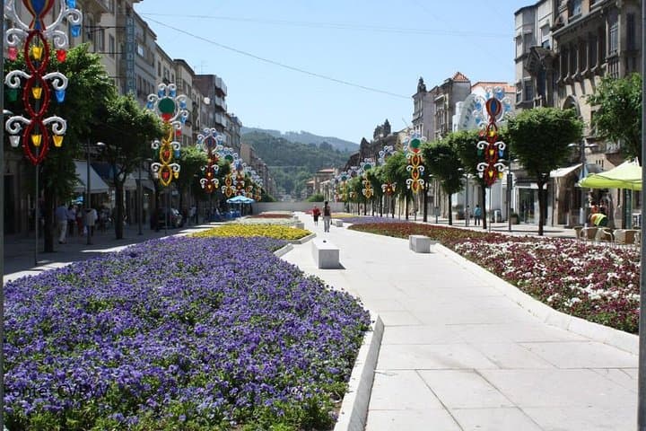 Private Ponte de Lima Tour: Vinho Verde Wineries, Medieval Bridge & Manor House