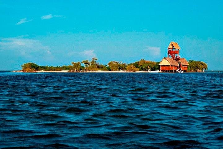 Holbox Living Dream Day Trip from Cancun — Isla Pasión, Punta Mosquito & Yalahau Cenote photo 5