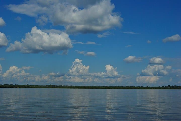 Iquitos Cruise Port Transfer to Hotels - Private 1-Hour Transfer in the Peruvian Amazon photo 3