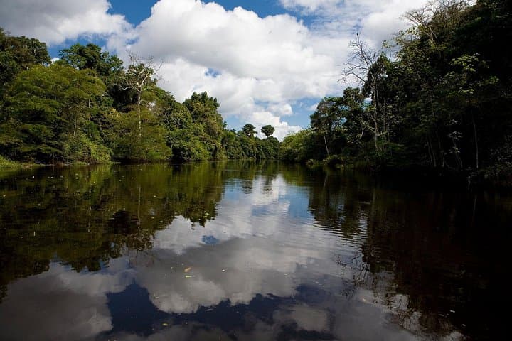 Iquitos Cruise Port Transfer to Hotels - Private 1-Hour Transfer in the Peruvian Amazon photo 1