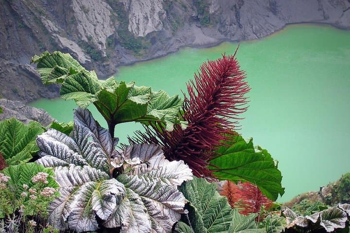 Irazú Volcano Half-Day Tour from San José — Crater Rim Hike & Panoramic Views photo 2