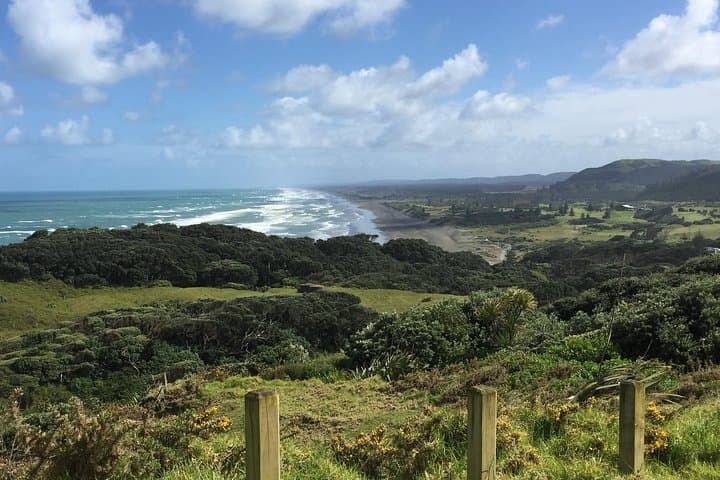 West Coast & Muriwai Gannet Colony Private Tour from Auckland photo 5