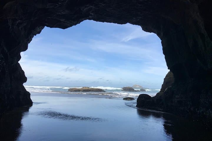 West Coast Muriwai Gannet Colony & Rainforest Day Tour from Auckland photo 6