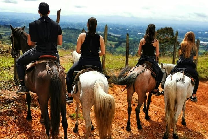 Medellín Coffee Farm & Horseback Tour: Ride, Roast, and Taste photo 3