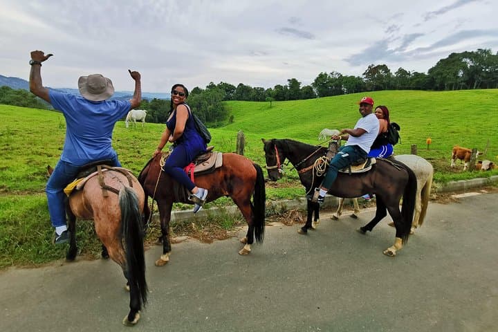 Private Horseback Riding Near Medellín — 6.5-Mile Mountain Trail Ride photo 4