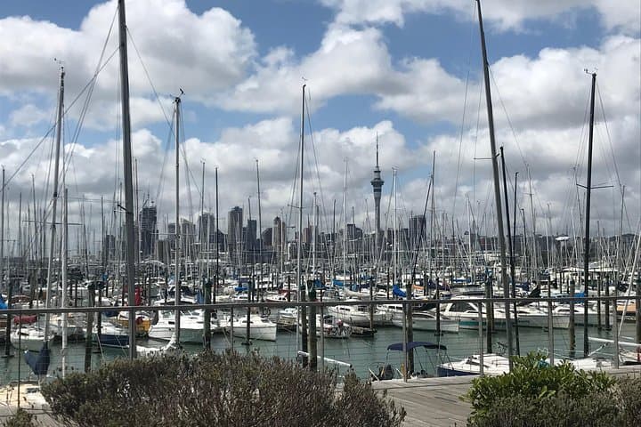 Auckland City to Surf Private Tour – Rainforest Walks, Gannets & Volcanic Views photo 6