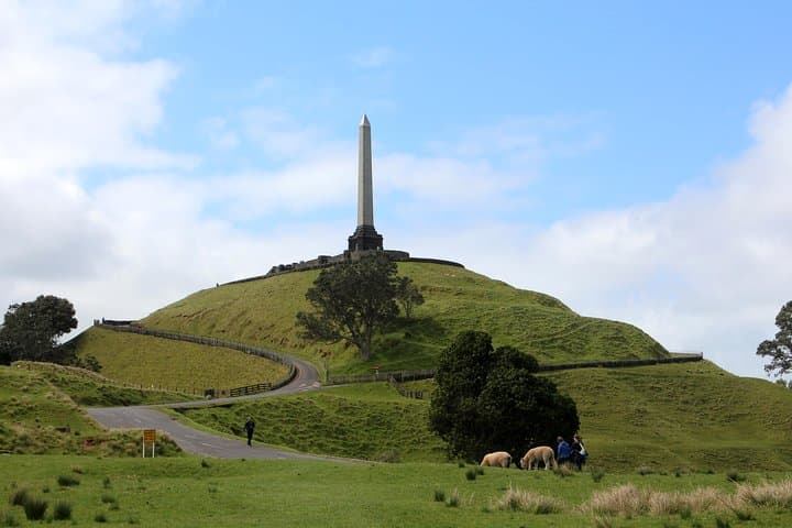 City to Surf Signature Private Tour — Auckland West Coast Gannets, Dolphins & Volcanoes photo 3