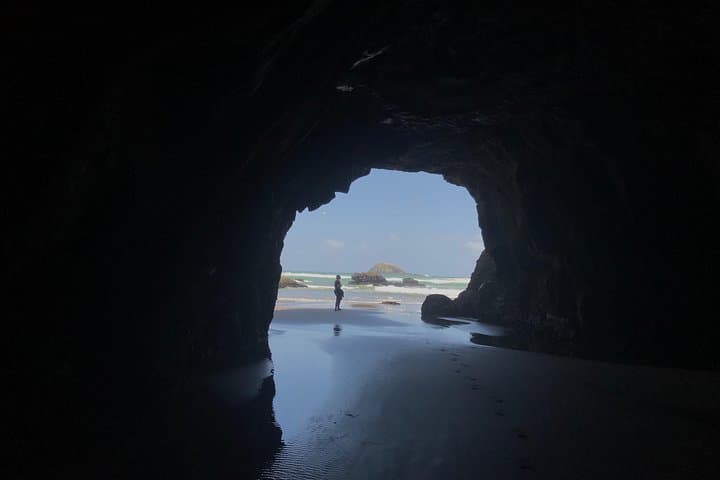 City to Surf Signature Private Tour — Auckland West Coast Gannets, Dolphins & Volcanoes photo 2