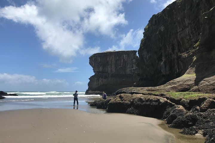 City to Surf Signature Private Tour — Auckland West Coast Gannets, Dolphins & Volcanoes photo 5