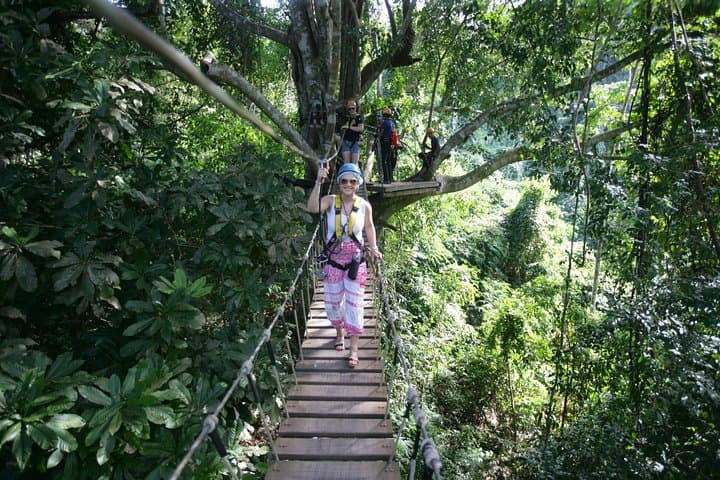 Sky Hawk Zipline Chiang Mai: High-Speed Canopy Course Over Northern Thailand photo 3