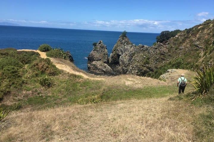 Tāwharanui Regional Park: Coastal Hike, Wildlife & Matakana Wine Tasting photo 3