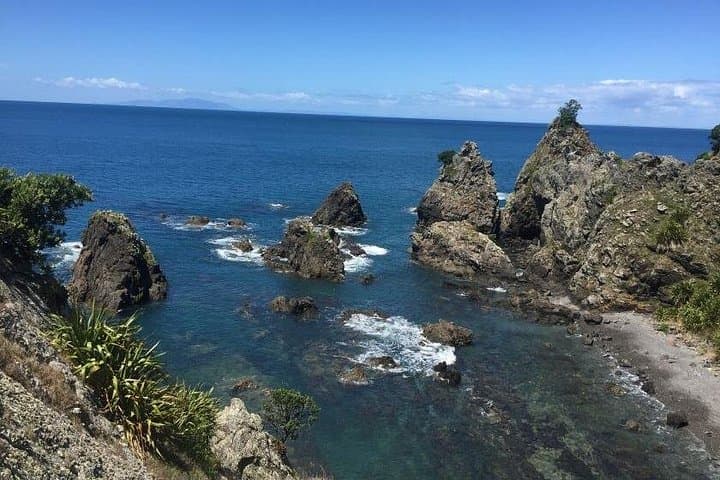 Tāwharanui Regional Park: Coastal Hike, Wildlife & Matakana Wine Tasting photo 4