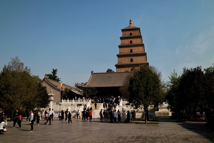 Xi'an to Chengdu: Terra-cotta Warriors & Giant Panda 3-Day Cultural and Wildlife Tour photo 3