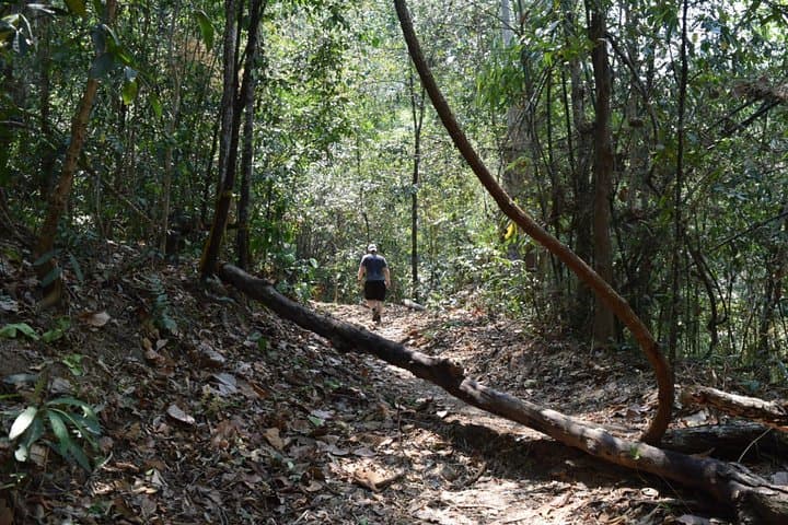 Half-Day Doi Suthep Temple Hike: Monk Trail & Palad Temple Trek from Chiang Mai photo 1
