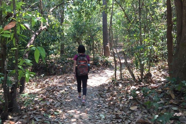 Half-Day Doi Suthep Temple Hike: Monk Trail & Palad Temple Trek from Chiang Mai photo 2