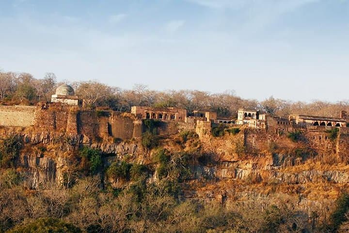 Jaipur to Ranthambore: 5-Day Cultural Circuit and Tiger Safari photo 2
