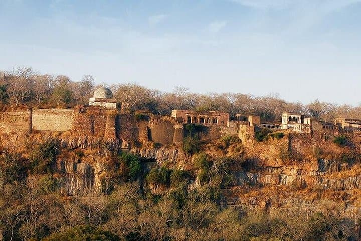 Ranthambore in Two Days: Tiger Safaris, Forts & Woodland Wildlife photo 2