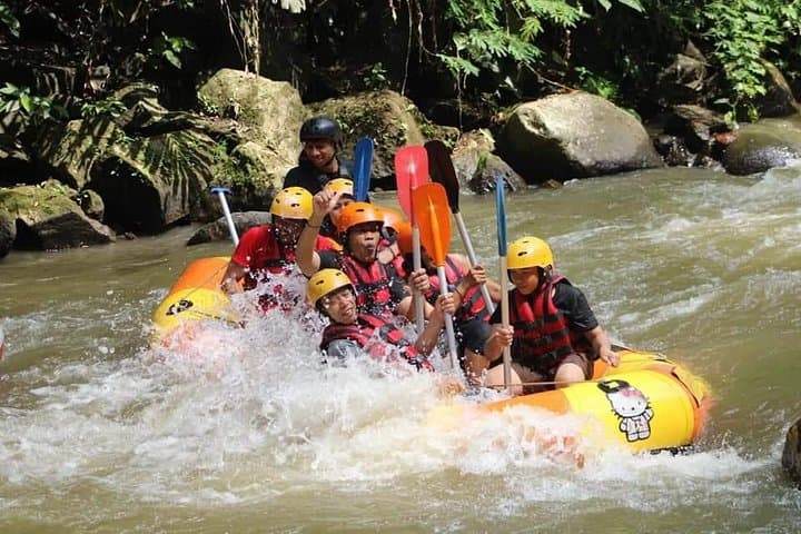 Ubud Ayung River Rafting & Bali Swing: Full-Day Adventure with Lunch and Transfers photo 2