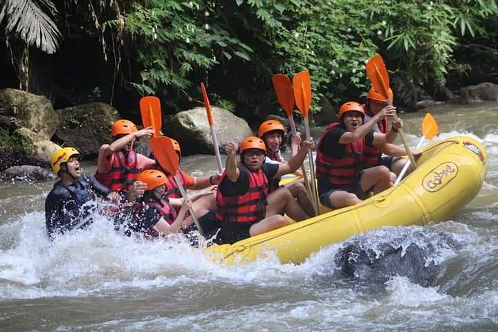 Ayung River Rafting & Ubud Highlights: Bali Swing, Monkey Forest and Tegenungan Waterfall