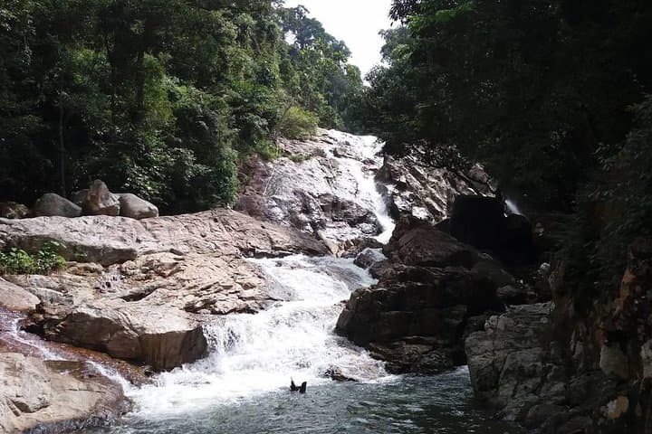 Hin Lad Waterfall Trail: Koh Samui Jungle Hike & Swim Guide photo 3