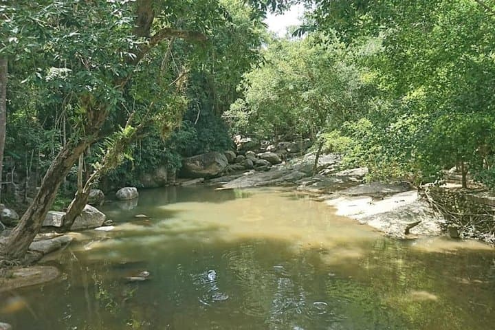 Hin Lad Waterfall Trail: Koh Samui Jungle Hike & Swim Guide photo 5