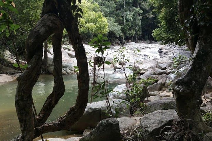 Hin Lad Waterfall Trail: Koh Samui Jungle Hike & Swim Guide photo 6