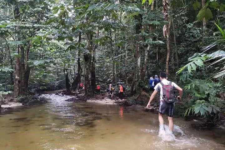 Jungle Trek to Hidden Waterfall and Batu Caves Day Tour photo 6