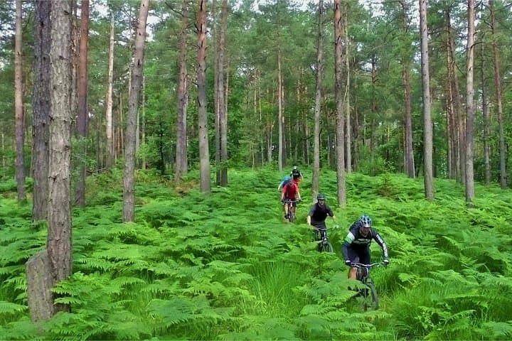 Ljubljana MTB Capital: Ride Golovec Trails and Old Town Sights photo 6