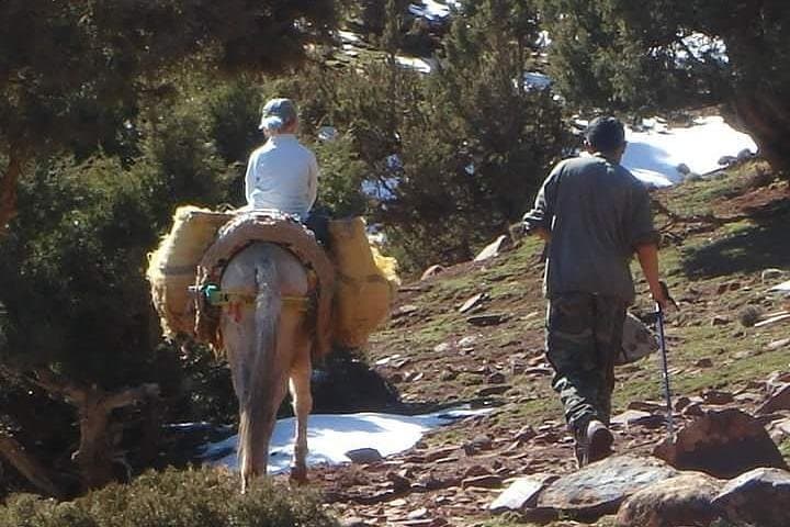 Summit Mount Toubkal in 2 Days: Marrakech to Jebel Toubkal Trek photo 6