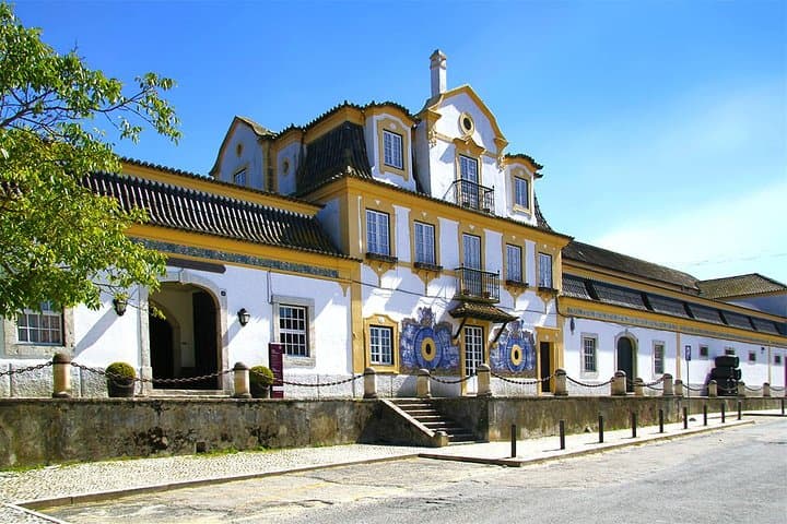 Sesimbra, Arrábida & Azeitão Day Tour with Wine Tasting from Lisbon photo 5