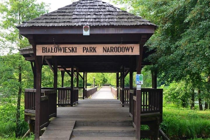 Bialowieza National Park Day Trip from Warsaw — See European Bison in the Primeval Forest photo 4