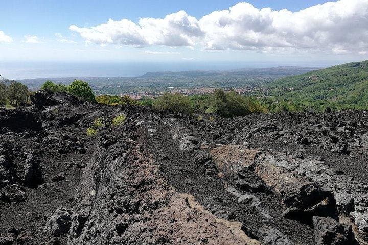 Private Mt Etna Tour from Taormina: Volcano Craters, Lava Tubes & Forest Walks photo 4