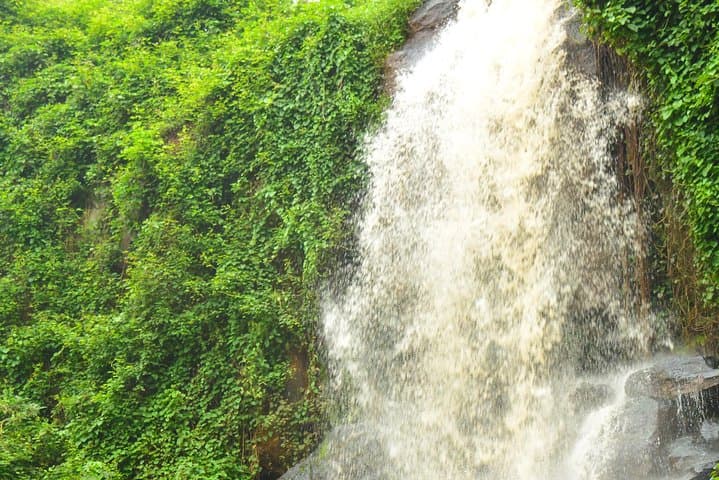 Fairview Coffee Estate Tour from Nairobi — Farm Walk, Processing & Waterfall Visit photo 3