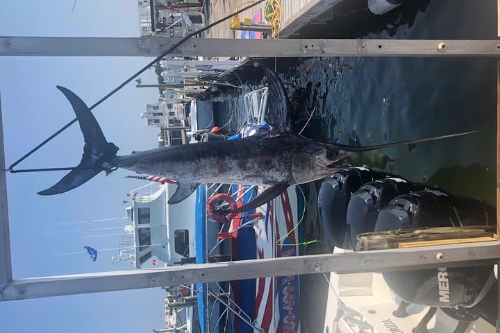 Private Deep-Sea Fishing Charter aboard the 42ft Deep Obsession in Destin photo 2