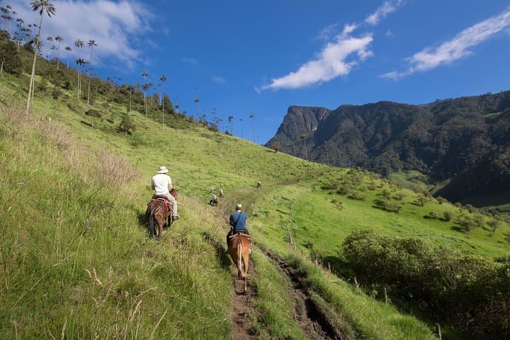 Colombia Personalized Travel Planning — Local Experts, Day-by-Day Itineraries photo 5