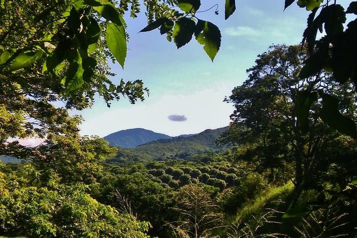 Hiking to Minca: Sierra Nevada Waterfalls, Coffee Trails & Cloudforest Trek photo 2