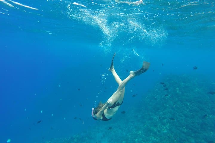 Half-Day Snorkel to Lanai from Kaanapali: Dolphins, Turtles & Whale-Season Highlights photo 2
