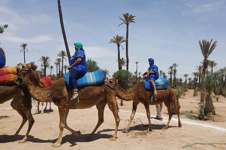 Camel Ride Marrakech: 2-Hour Palmeraie Experience on Dromedaries