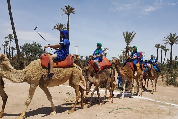 Camel Ride Marrakech: 2-Hour Palmeraie Experience on Dromedaries photo 2