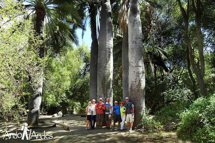 Hike La Campana National Park: Chilean Palm Trails & 30m Waterfall photo 2