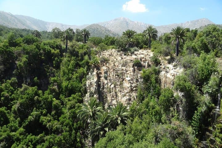 Hike La Campana National Park: Chilean Palm Trails & 30m Waterfall photo 6