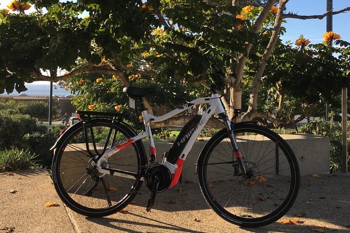 Half-Day Performance eBike Rental in La Jolla — Coastal Roads & Torrey Pines Trails photo 4
