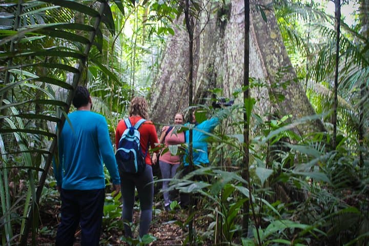 Into the Amazon: 5-Day Tapiri Lodge Adventure in the Anavilhanas photo 2
