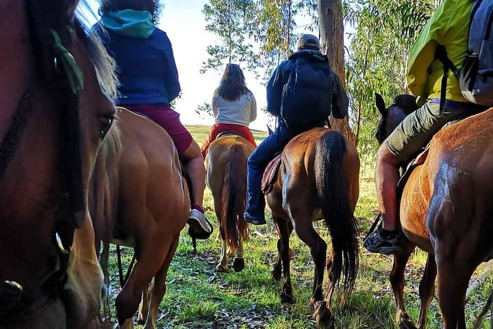 Sunset Ride to Terevaka: Horseback to Easter Island's Highest Point photo 5