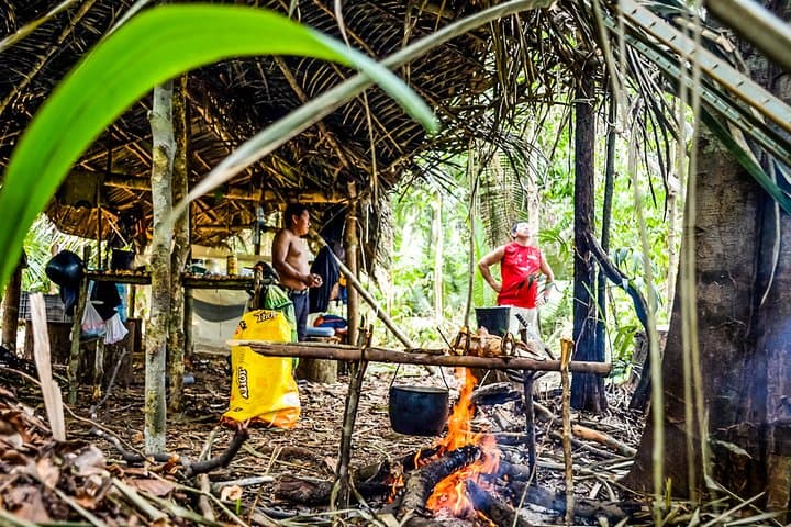 Amazon Survival Tour: 3-Day Jungle Camping & Canoe Adventure from Manaus photo 3