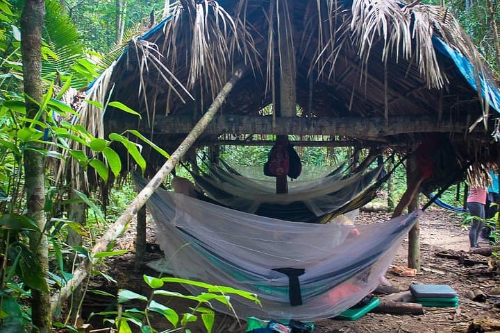 Amazon Survival Tour: 4-Day Jungle Camping & Survival near Manaus photo 3