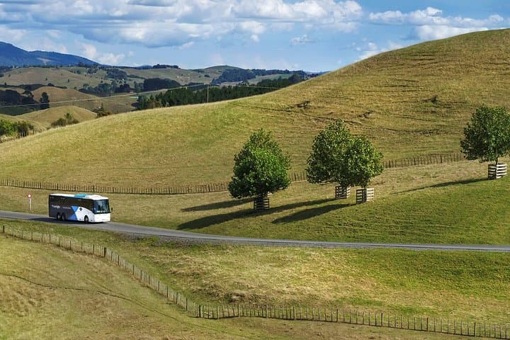 Hobbiton Movie Set Tour from Rotorua: Guided Day Trip to Matamata photo 3