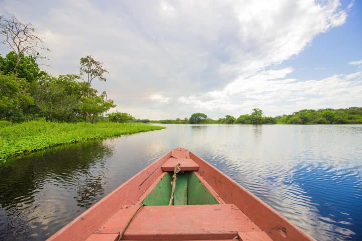 Amazon Survival Tour: 4-Day Jungle Camping & Survival near Manaus photo 6